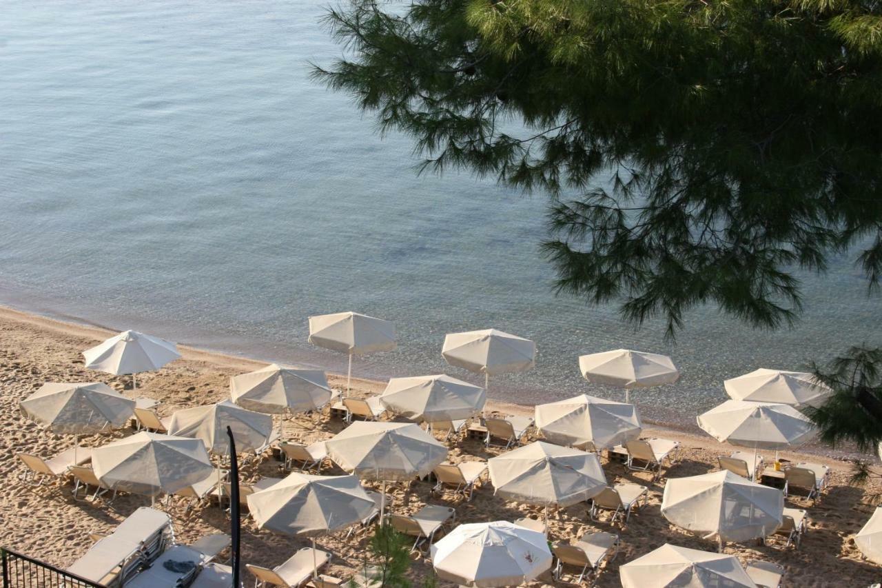 Cosy Apartment By The Sea Metamorfosi  Esterno foto