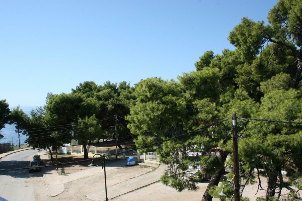 Cosy Apartment By The Sea Metamorfosi  Esterno foto