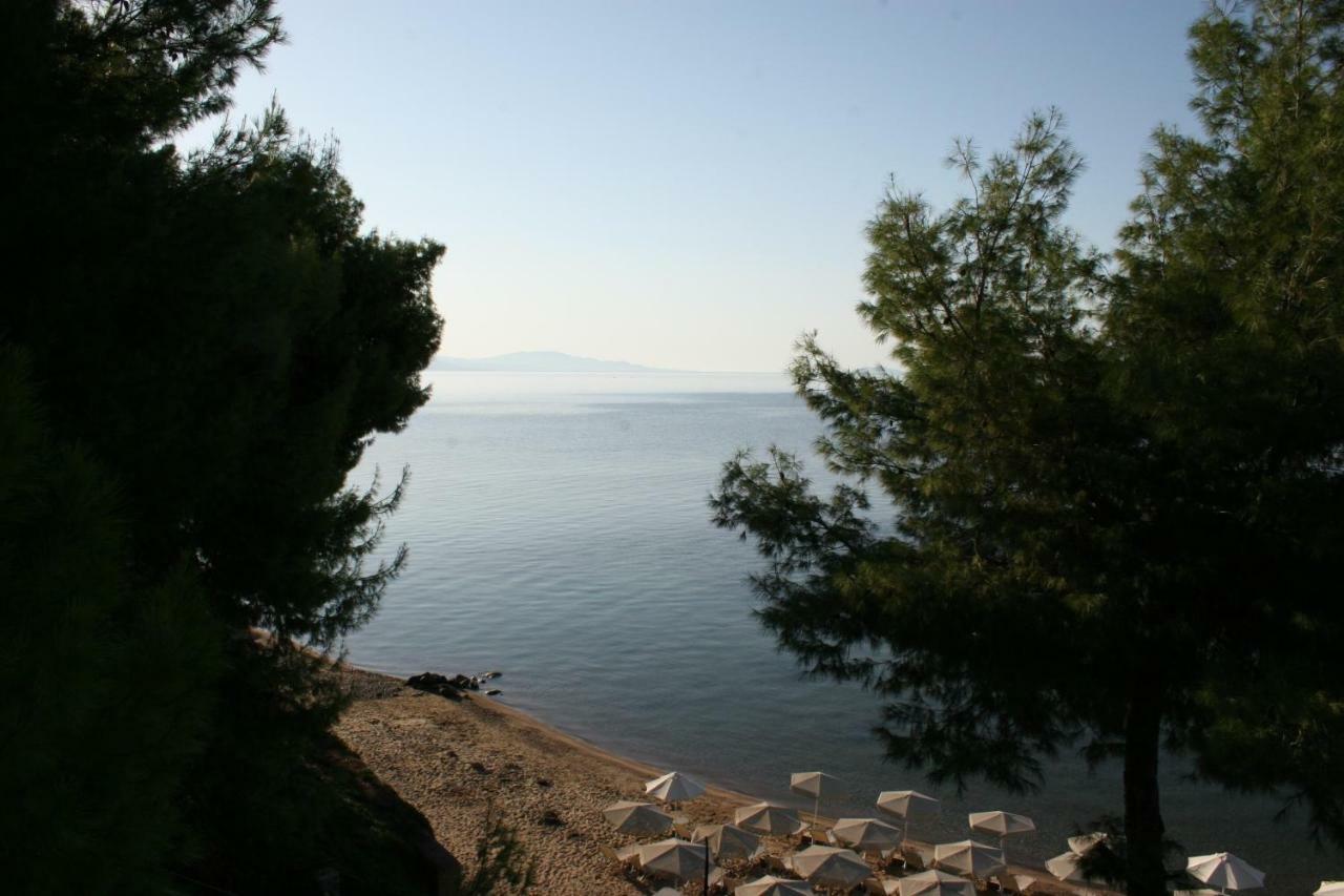 Cosy Apartment By The Sea Metamorfosi  Esterno foto